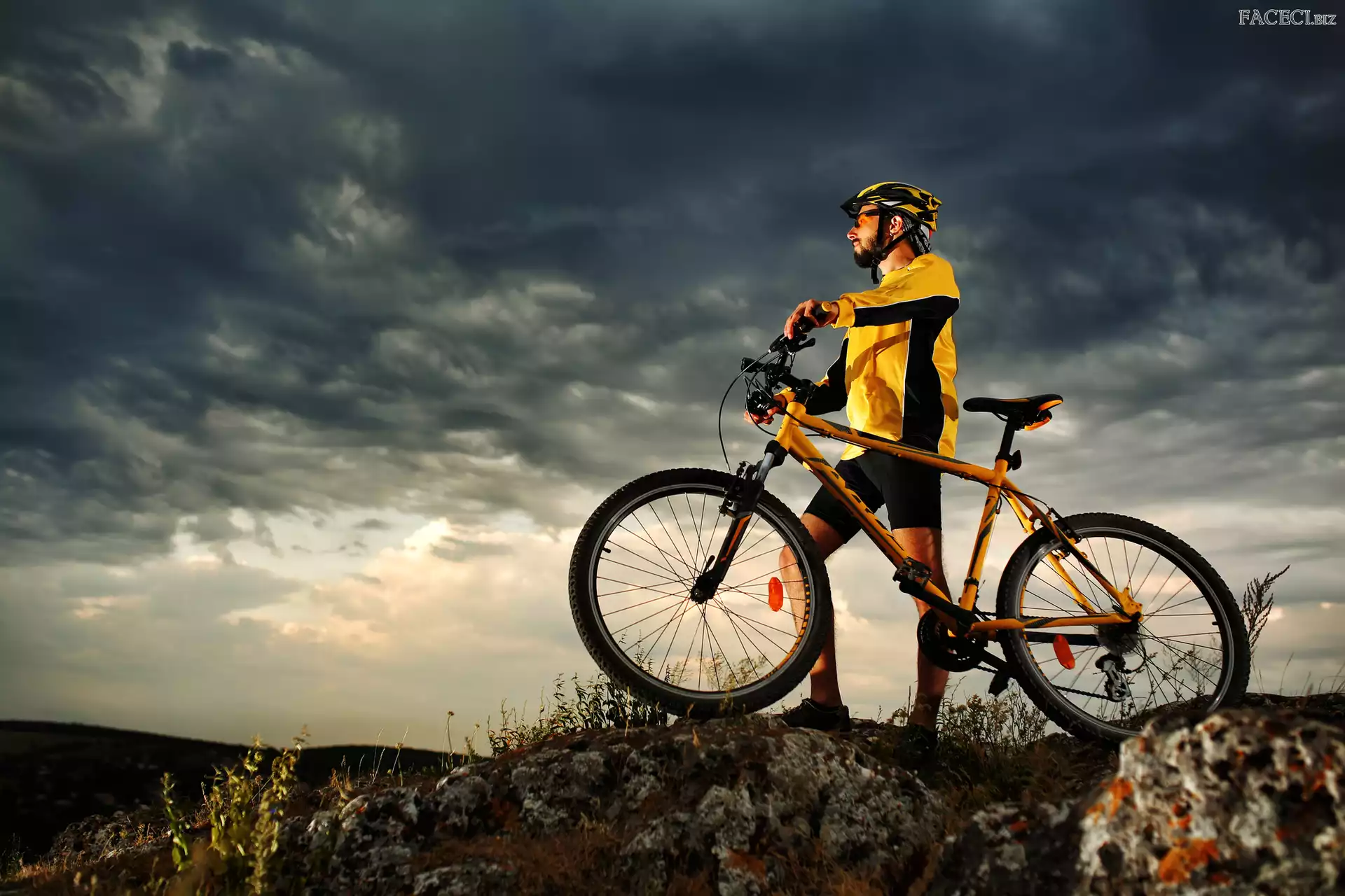 Rower, Kolarstwo, Mężczyzna